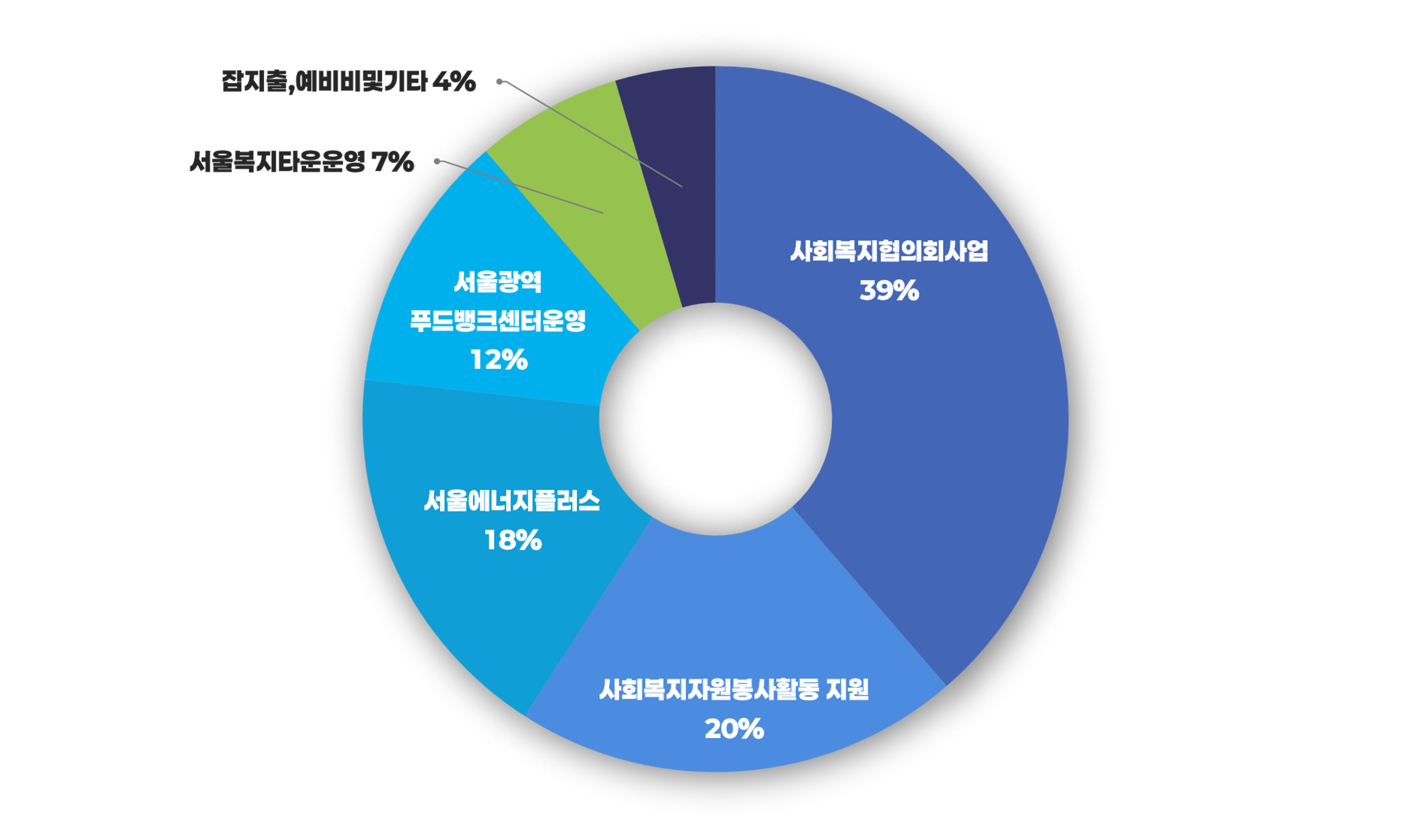 2025년도 지출 차트